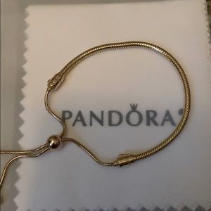 Pandora Shine slide bracelet